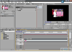 Adobe公司八款精品软件深度整理