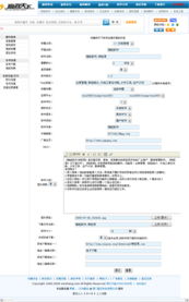 软件产品发布 从概念到市场的关键步骤