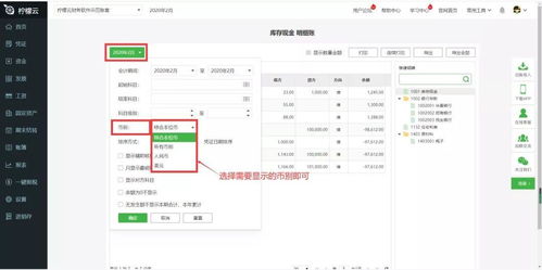 柠檬云财务软件常见账簿问题与解决指南